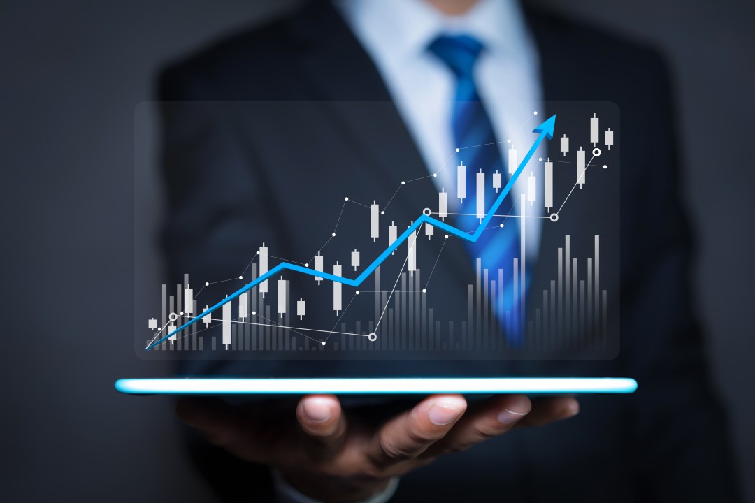 A person holding a progress growth model in hand.